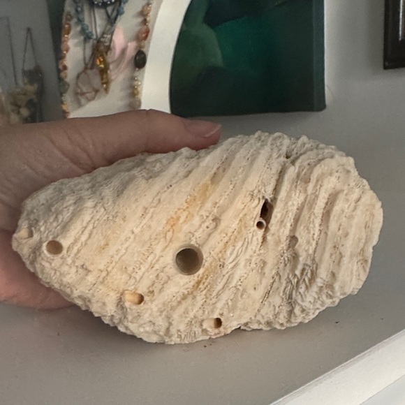 Natural Cream Coral Sculpture - Picture 5 of 6